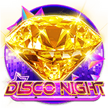DiscoNight